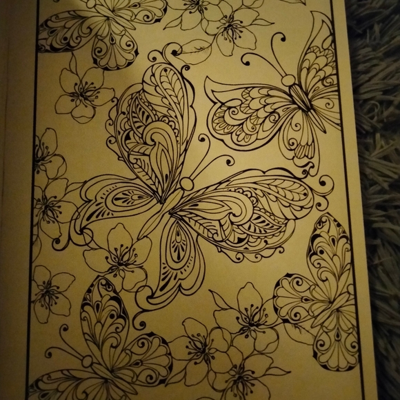 Adult coloring book - Picture 3 of 8